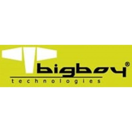 BIGBOY BTS426/32 32 GB SERVER MEMORY